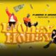 MONEY HONEY