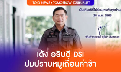 หมูเถื่อน